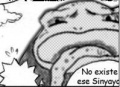 Invocaciónsapos.jpg