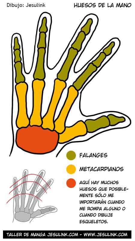 Cómo dibujar manos - Jesulink.com