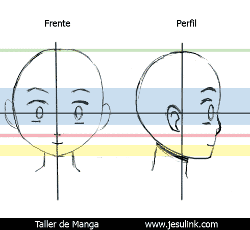 Taller de Manga - Cómo dibujar una cara de perfil