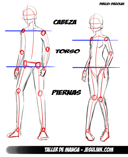 Taller de Manga - Dibujar proporciones y cuerpos - Introducción